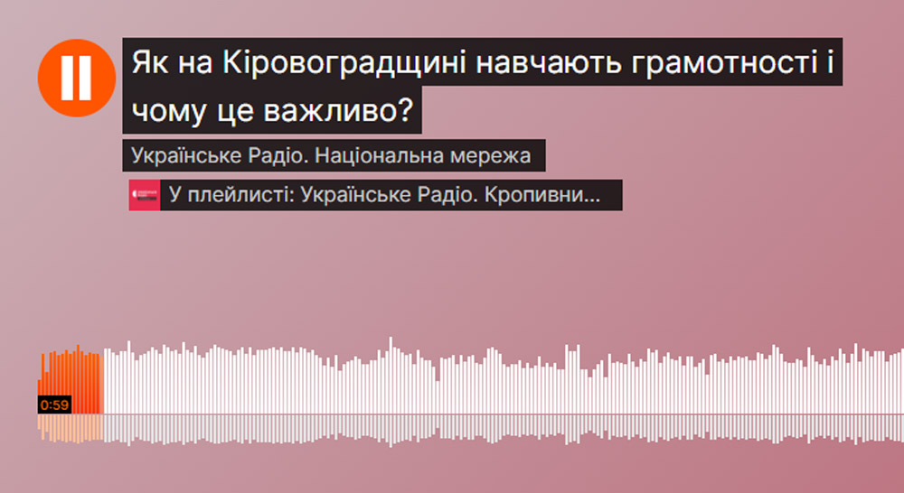 Професор ЦДУ імені Володимира Винниченка С.Л.Ковтюх взяла участь в іміджевій радіопередачі про проблеми грамотності на Кропивниччині